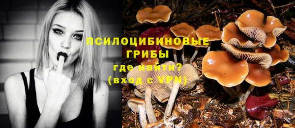 МДПВ Арсеньев
