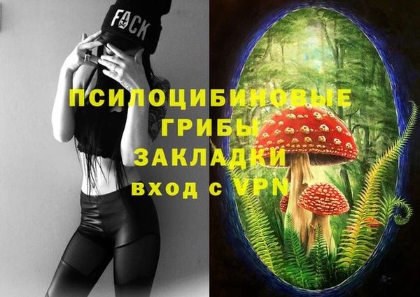 дживик Армянск