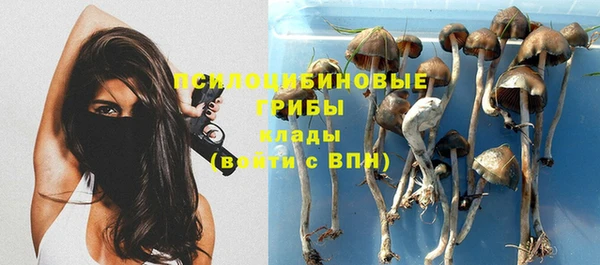jwh Аркадак