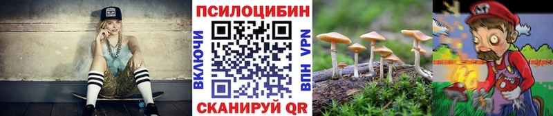 Галлюциногенные грибы Psilocybe  Борзя 