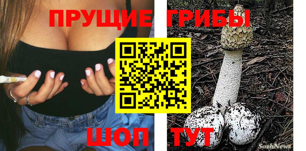 Псилоцибиновые грибы мицелий  Вход с VPN  Борзя 
